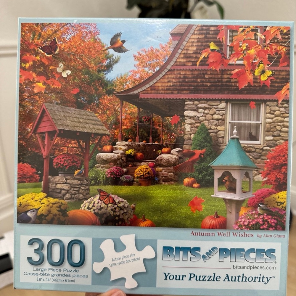 Puzzles - Picture 3 of 4